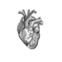 ricordicome-spine avatar