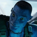 rideroflastshadow avatar