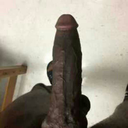 ridickulust203 avatar