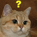 ridiculously-easy avatar