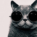 ridiculousworld avatar