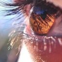 riescoanonarrendermiseciseitu avatar