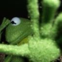 rigby-oconnell avatar