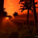 right-wing-betta avatar