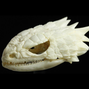 rigorousmortician avatar