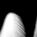 rigurgitoantidegrado avatar