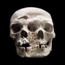 rigwhoremortits avatar