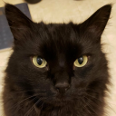 rijnsburgtoday avatar