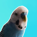 rikithebudgie avatar