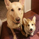 rikkuandriver avatar