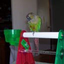 rileyconure avatar