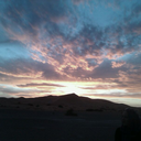 rimpelsteeltje avatar