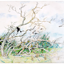 ringmeperhaps avatar