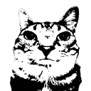 ringolerntdeutsch avatar