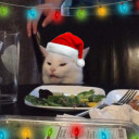 ringringyouhavebeenrung avatar