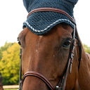 ringsidephotos-blog avatar