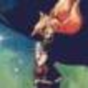 rinsey-seirin avatar