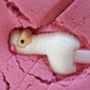 rintsukinemeow avatar