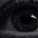 rioteradeipensieri avatar