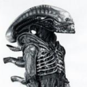 riotisimperfect avatar