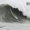 ripegreenbanana avatar