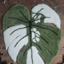 ripleys-ruggery avatar