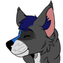 riptideraccoon avatar