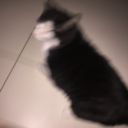 riseandssshine avatar