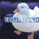 risefromthewraith avatar