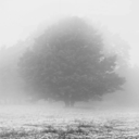 risen-mountain avatar