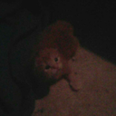 riseoftheindividual-blog avatar