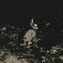 riseofthejackalope avatar