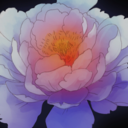 rita-dita-133 avatar