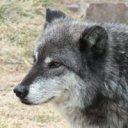 ritualghostwriter avatar