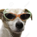 riverstreamwaterfall avatar