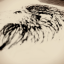 riverwattle avatar
