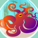 rizzidyrabbit avatar