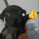 rkiveie avatar