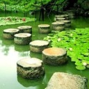 rlygreatstuff avatar