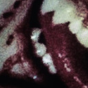 rnasterbaitor avatar