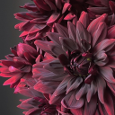 rnettaunreeled avatar