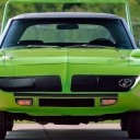 road-of-our-life avatar