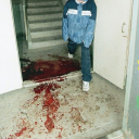 roadkillthatlikestodressup avatar