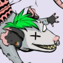 roadkxllpossum avatar