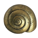 roadsidesnail avatar