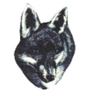 roamintothewoods avatar