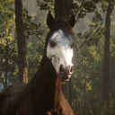 roanoke-ridge avatar