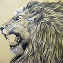 roared-like-lions avatar