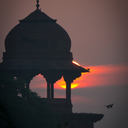 roaring-dreams avatar