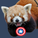 roaringredpandas avatar